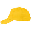 Hit Athletic Gold Price Buster Cap