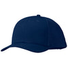 Patagonia New Navy LoPro Trucker Hat