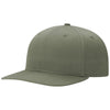 Color Loden