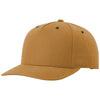 Color Tan