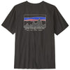 Patagonia Men's Ink Black '73 Skyline T-Shirt