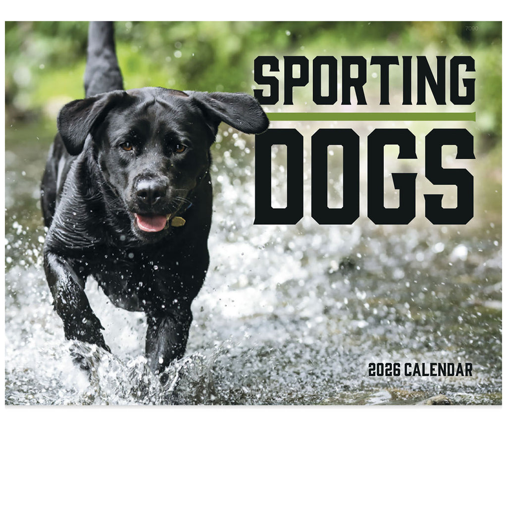 Good Value Custom Sporting Dogs - Stapled