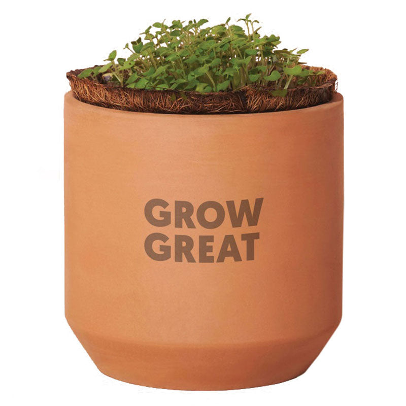 Modern Sprout Terracotta Tiny Terracotta Grow Kit Grow Kit Champagne Poppies