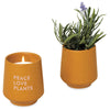 Modern Sprout Mustard/Lavender Rooted Candle