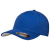 Flexfit Royal Brushed 6-Panel Cap