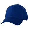 Color Royal