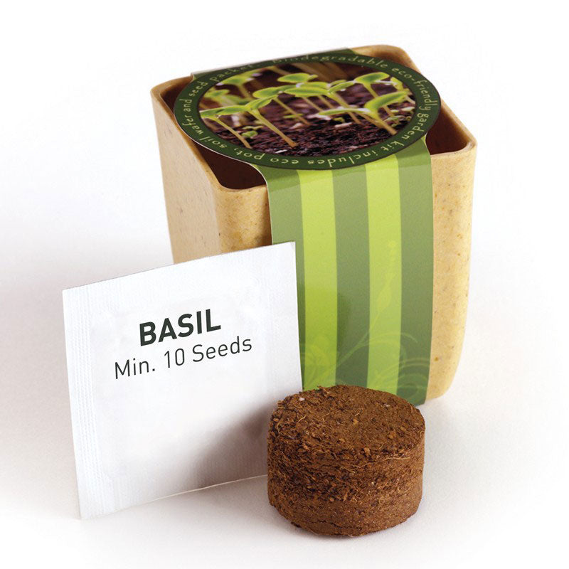 Primeline Tan Flower Pot Set with Basil Seeds