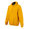 Champion Men's Gold Hoodie