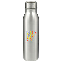 Bullet Silver Vida 24oz Stainless Steel Bottle