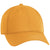 Ahead University Gold/University Gold Frio Cap