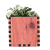 Woodchuck USA Cedar Square Desktop Planter