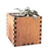 Woodchuck USA Mahogany Square Desktop Planter