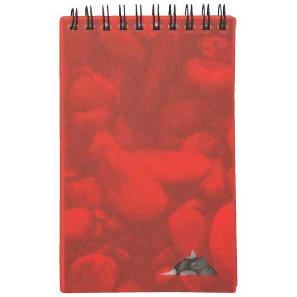 Gold Bond Inc Pebble Red 3-1/2" x 5" Stone Paper Jotter